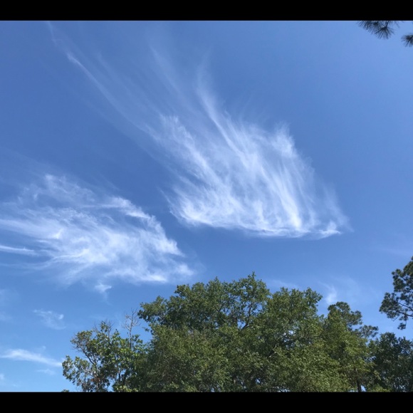 LETS WORK TOGETHER IN 2022πππ
ππ€£π·πβ€οΈπππ - Picture 10 of 12